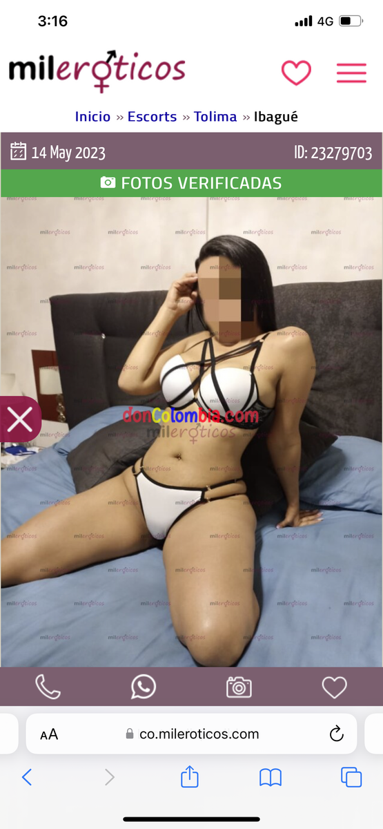 Stefy 3202808522