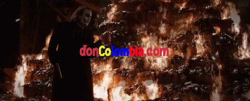 24325.gif