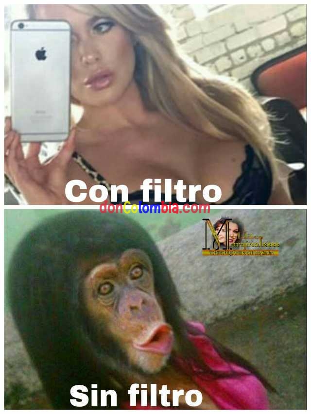 con-filtro-sin-filtro-M81Gy.jpg