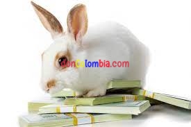REQUERIMOS PERSONAL FEMENINO $$ EXCELENTES INGRESOS $$ INF 319 4576219
