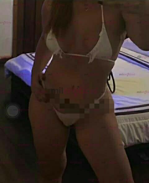 ARASHA HOTEL DAYAMAR