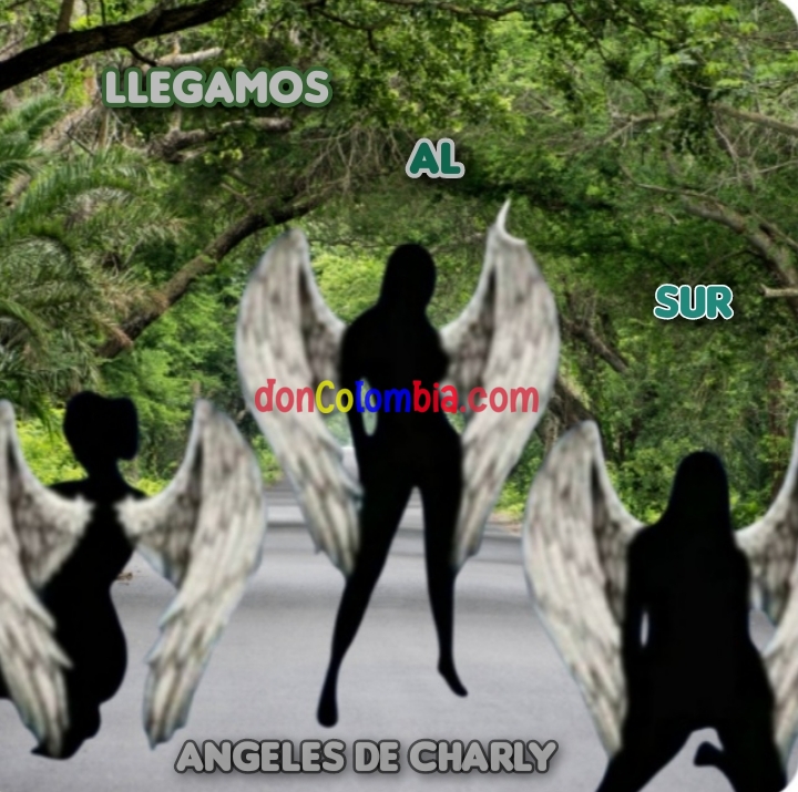LOS ÁNGELES DE CHARLY 318 936 8401  HOY DE PROMOCION.
