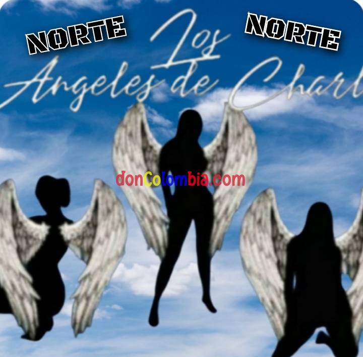 LOS ÁNGELES DE CHARLY HOY EN EL NORTE 3180522248