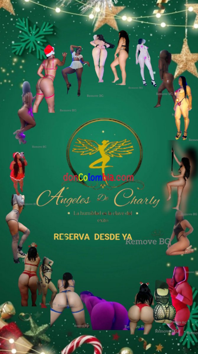 LOS ÁNGELES DE CHARLY SUR 3181927520 CHICA NUEVA...