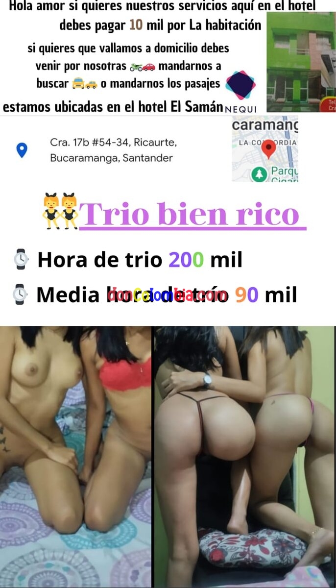 Luci & Estrella - 3170763068