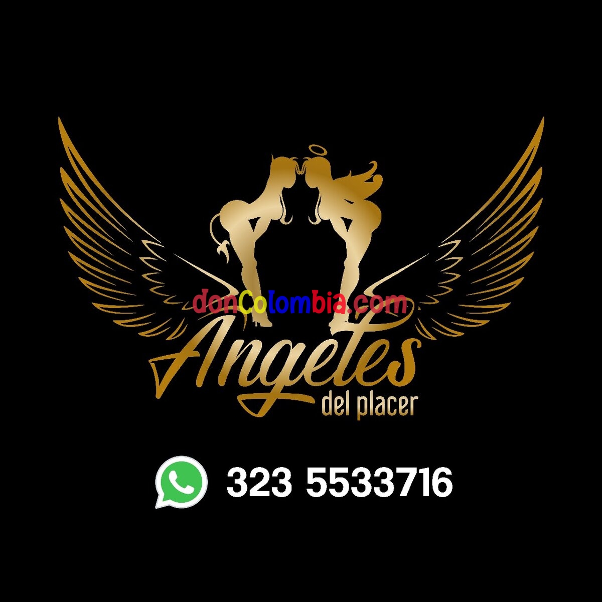 PRESENTACION (ANGELES DEL PLACER CALI)