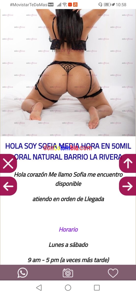 Referencias escort sofia culona (3205395830)