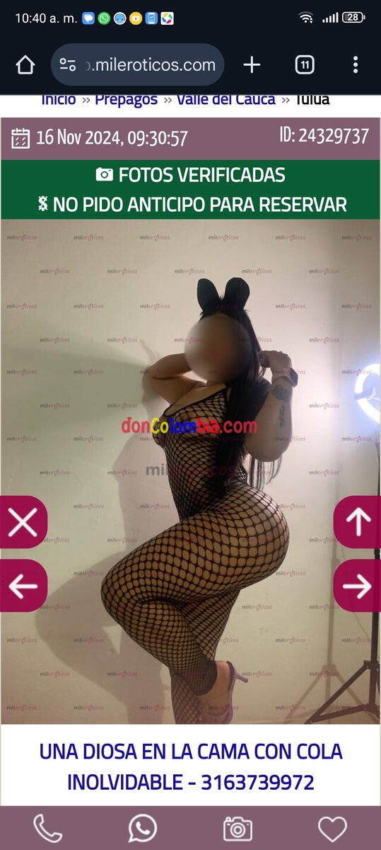 SAMANTHA 3163739972