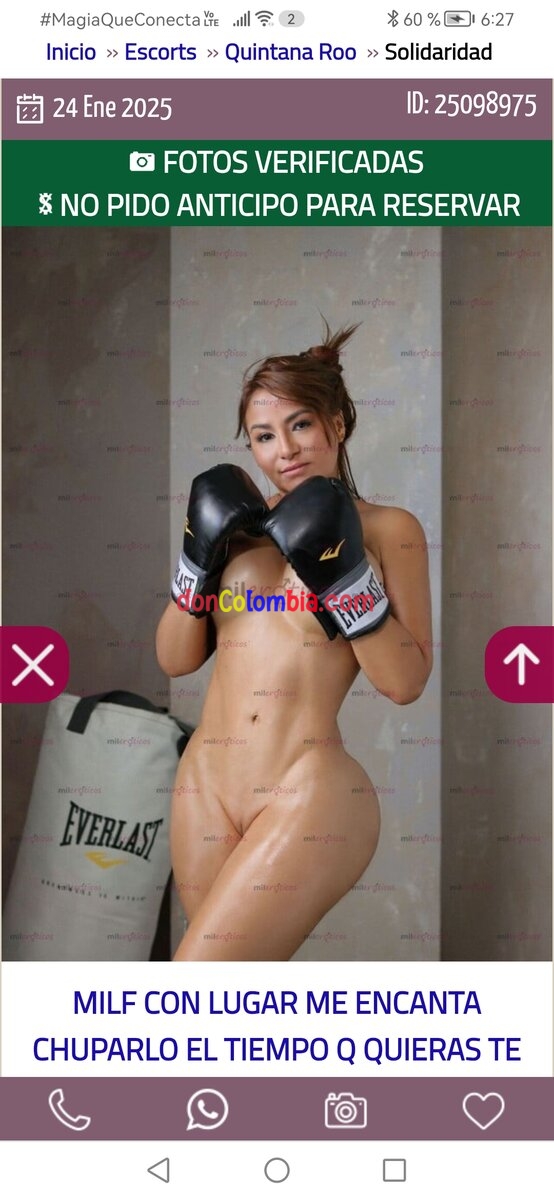 Nueva milefans 
  Buen servicio 31134023322