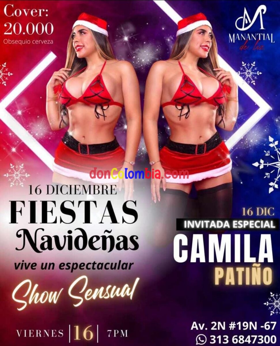 Fiesta de navidad - Manantial de Liz