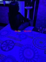IMG_7697.jpeg