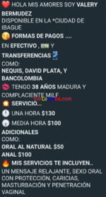 Screenshot_20240213-221517.png