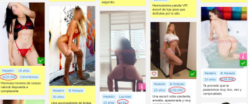 medellin2.png