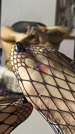 IMG_5924.jpeg