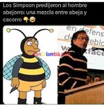 FB_IMG_1720070698443.jpg