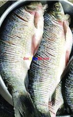 pescado.jpg