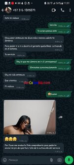 Screenshot_20240807_110115_WhatsApp.jpg