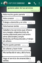 Screen_Capture_Img_602-1.png