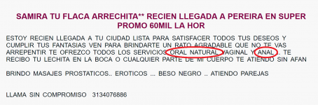 samira4.png