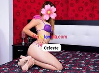 WhatsApp Image 2024-11-26 at 2.33.20 PM (1).jpeg