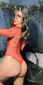 imagen_2024-12-18_162601926.png