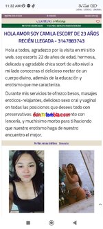 Screenshot_2025-03-02-11-32-31-499_com.android.chrome.jpg