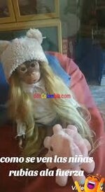 images (27) (31).jpeg