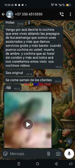 Screenshot_20250513-193426.jpg