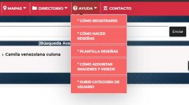 Ayuda Didactica.jpg