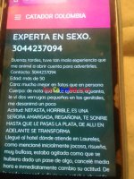 IMG_20251209_002728.jpg IMG_20251209_002728.jpg