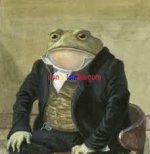 images.jpeg