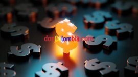 istockphoto-1305168588-612x612.jpg