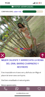 IMG_3982.png
