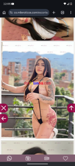 Screenshot_20260619-000538_Chrome.png