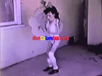 IMG_1936.gif
