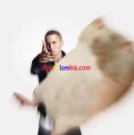 27013.png 27013.png