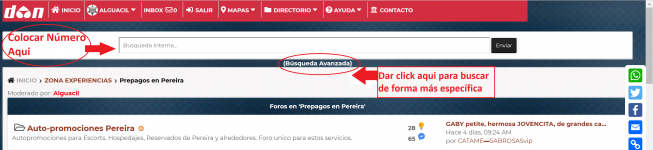 Busqueda1.png