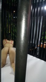 IMG_20191212_192907.jpg