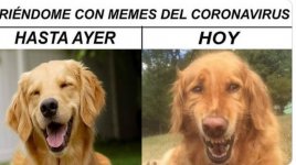 coronavirus-meme.jpg