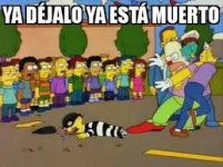 descarga (6).jpeg