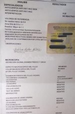 5a54b76415de3b141f2a6e02dc6b3964.jpg