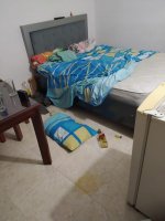 IMG-20201207-WA0005.jpg