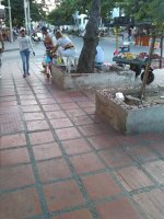 WhatsApp Image 2021-01-15 at 2.31.02 PM.jpeg