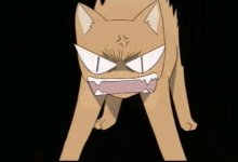 1135979113_skyo-cat06.jpg