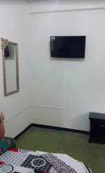 LA NUEVA SEVILLANA 3.jpg