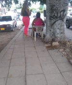 Mona sol del este 1.jpg