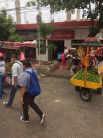 WhatsApp Image 2021-05-26 at 00.56.13 (1).jpeg