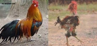 14854961.jpg 14854961.jpg