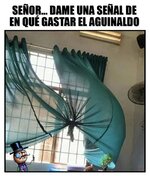 FB_IMG_1637944375808.jpg