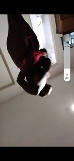 Screenshot_20211211-234458_Video Player.jpg